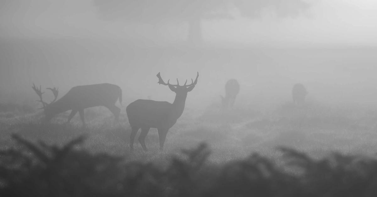 How I Used Kiro to Catch Up on 4 Weeks of PTO in 10 Minutes